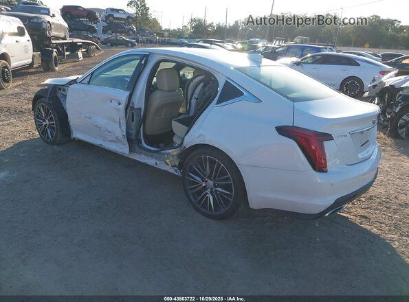 1G6DN5RK9P0123233 2023 CADILLAC CT5 Белый Задняя левая четверть