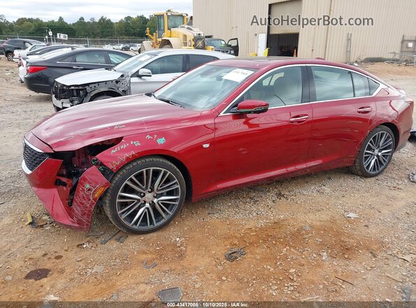 1G6DN5RWXS0122622 2025 CADILLAC CT5 Red 
