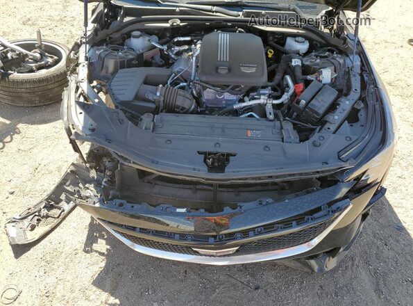 1G6DP5RK8S0113005 2025 CADILLAC CT5 Black Widok wnętrza z tyłu