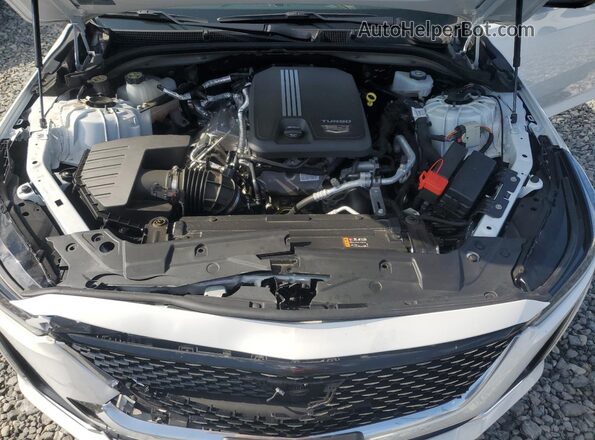 1G6DS5RKXP0136047 2023 CADILLAC CT5 White Вид задньої частини салону