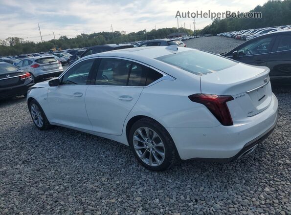 1G6DS5RKXP0136047 2023 CADILLAC CT5 White Задня ліва чверть