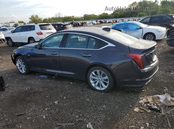 1G6DS5RKXT0102782 2026 CADILLAC CT5 Blue Задня ліва чверть