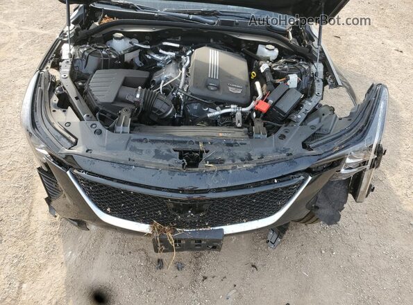 1G6DU5RKXS0106713 2025 CADILLAC CT5 Black Սալոնի հետևի տեսք