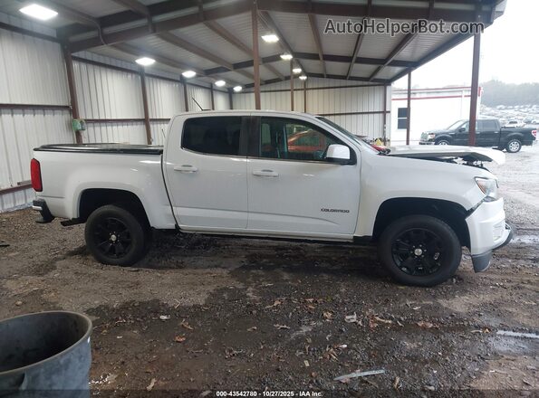 1GCGSCEN7L1218658 2020 CHEVROLET COLORADO White Widok wnętrza z tyłu