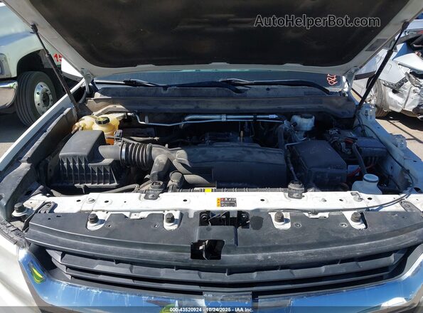 1GCHSCEAXL1221698 2020 CHEVROLET COLORADO Green Вид ззаду