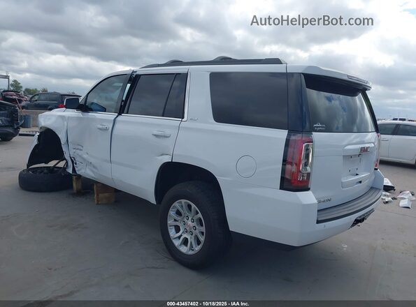 1GKS2BKC0LR215856 2020 GMC YUKON White Rear left