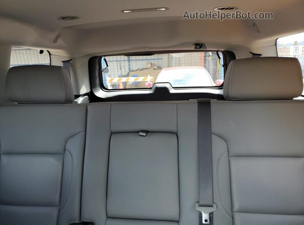 1GNSKBKC0LR299504 2020 CHEVROLET TAHOE Blue Vista de los asientos traseros