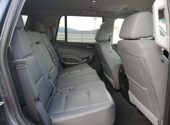1GNSKBKC0LR299504 2020 CHEVROLET TAHOE Blue Vista interior trasera