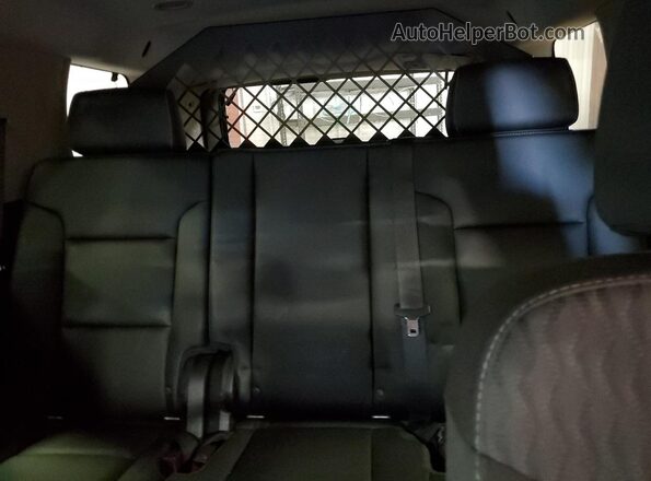 1GNSKDEC1LR247595 2020 CHEVROLET TAHOE Blue Rear seats view