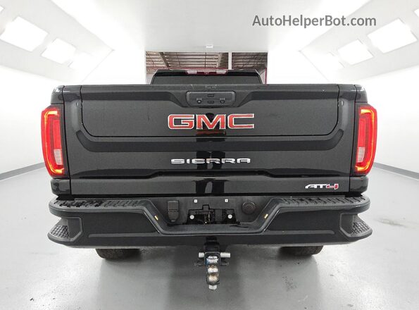 1GT49VEY8PF129825 2023 GMC SIERRA Black 
