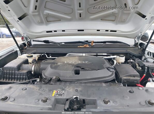 1GTG6FEN6N1263017 2022 GMC CANYON White Widok z tyłu