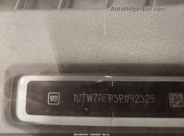 1GTW7AFP3P1192325 2023 GMC SAVANA CARGO White Widok komory silnika
