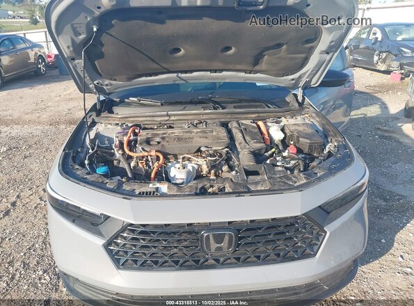 1HGCY2F53PA040695 2023 HONDA ACCORD Gray Вид ззаду