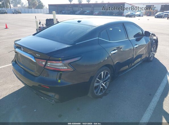 1N4AA6AV0KC369785 2019 NISSAN MAXIMA Black Tył prawy
