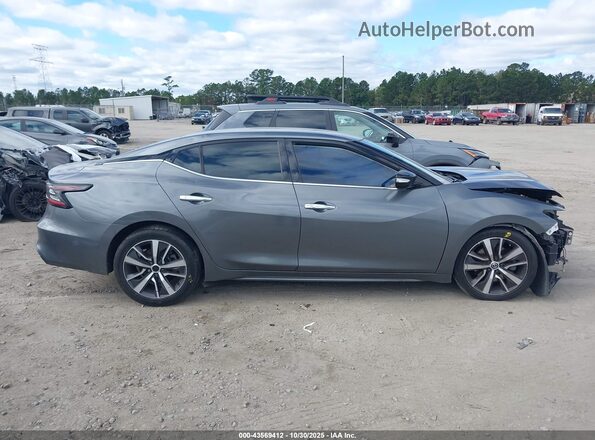 1N4AA6CV0LC361765 2020 NISSAN MAXIMA Gray Սալոնի հետևի տեսք