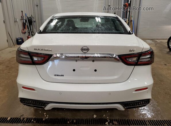 1N4AA6CV1PC509153 2023 NISSAN MAXIMA White უკანა ხედი