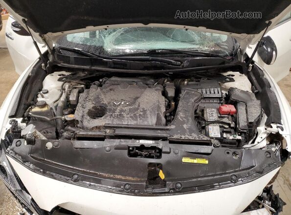 1N4AA6CV1PC509153 2023 NISSAN MAXIMA White უკანა სალონის ხედი
