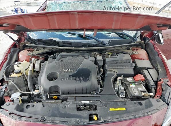 1N4AA6CV3MC502037 2021 NISSAN MAXIMA Бордовый Вид задней части салона