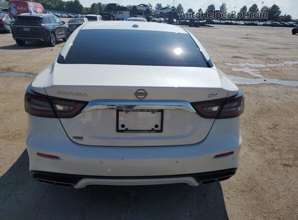 1N4AA6CV3PC510479 2023 NISSAN MAXIMA White Հետևի տեսք