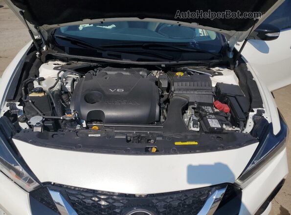1N4AA6CV3PC510479 2023 NISSAN MAXIMA White Սալոնի հետևի տեսք