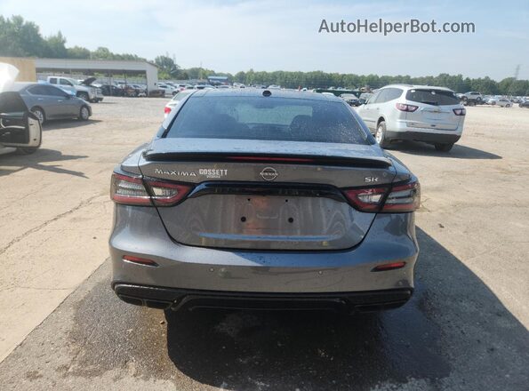 1N4AA6EVXPC503266 2023 NISSAN MAXIMA SR Silver Widok z tyłu