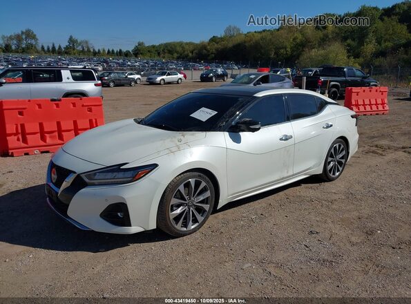 1N4AA6FV1PC508242 2023 NISSAN MAXIMA PLATINUM White 