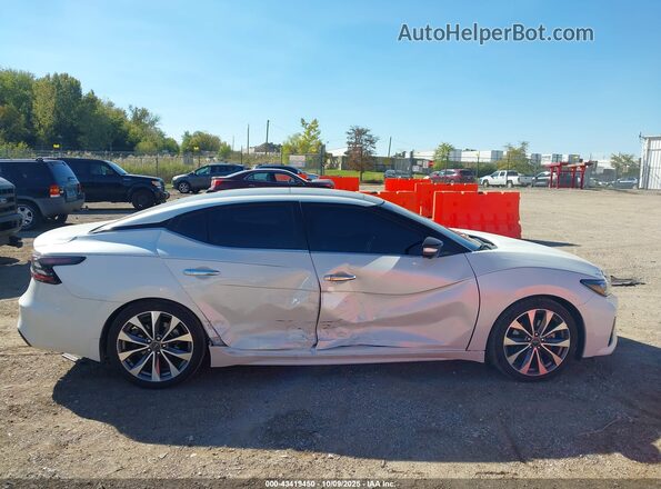 1N4AA6FV1PC508242 2023 NISSAN MAXIMA PLATINUM White 