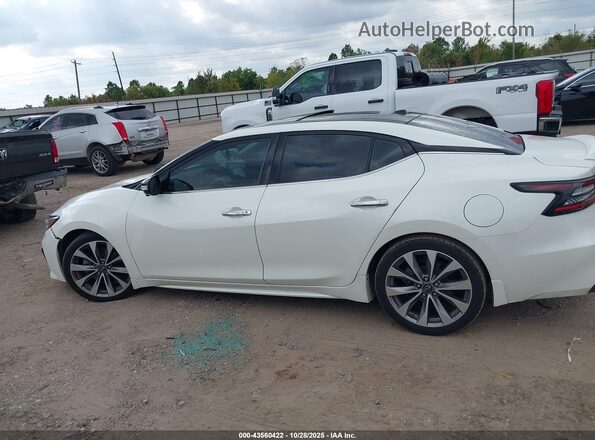 1N4AA6FV3PC503012 2023 NISSAN MAXIMA PLATINUM White Панорамний вид салону 360°