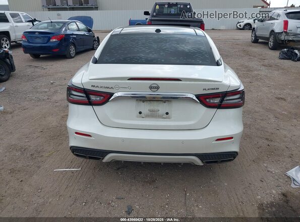 1N4AA6FV3PC503012 2023 NISSAN MAXIMA PLATINUM White 