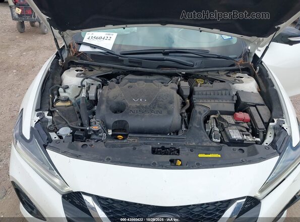 1N4AA6FV3PC503012 2023 NISSAN MAXIMA PLATINUM White Вид ззаду