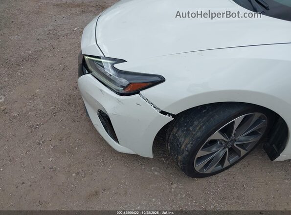 1N4AA6FV3PC503012 2023 NISSAN MAXIMA PLATINUM White Вид спереду