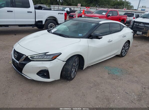 1N4AA6FV3PC503012 2023 NISSAN MAXIMA PLATINUM White Передня ліва чверть