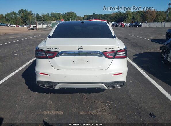 1N4AA6FV5PC507918 2023 NISSAN MAXIMA PLATINUM Белый 