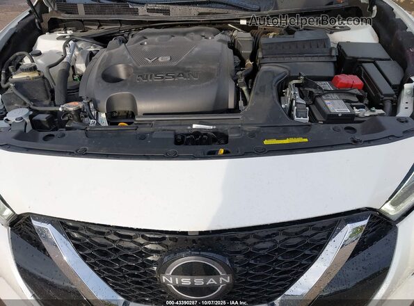 1N4AA6FV8PC507914 2023 NISSAN MAXIMA PLATINUM Белый Вид сзади