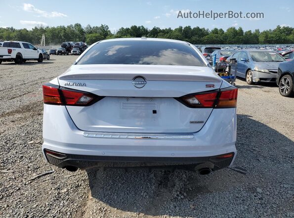 1N4AL4CV9PN348702 2023 NISSAN ALTIMA Синий Вид сзади