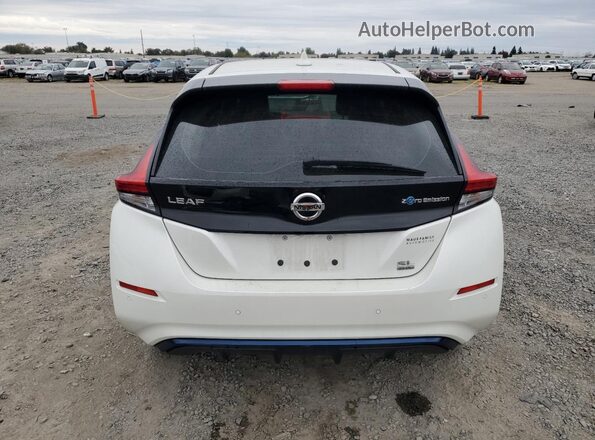 1N4BZ1DP1LC311361 2020 NISSAN LEAF White Rear view