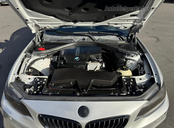 WBA1F9C56GV545208 2016 BMW 2 SERIES Silver Вид задніх сидінь