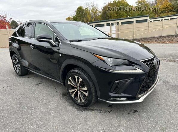 JTJBARBZ1J2157562 2018 LEXUS NX Black Front view