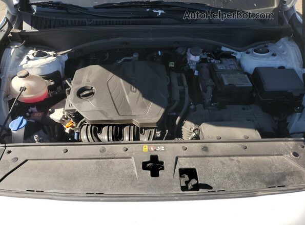 5NMS2DAJ9PH609342 2023 HYUNDAI SANTA FE White Widok naklejki z numerem VIN