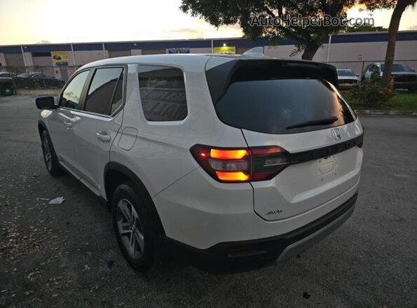 5FNYG1H45RB008220 2024 HONDA PILOT White Front right