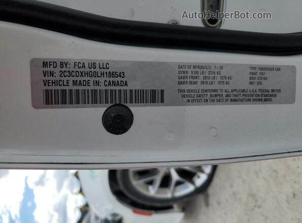 2C3CDXHG0LH186543 2020 DODGE CHARGER White Вид наклейки з VIN-кодом
