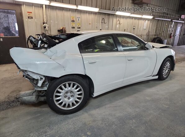 2C3CDXKT3KH579506 2019 DODGE CHARGER White Задня права чверть