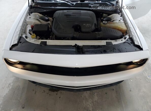 2C3CDZAG1LH103904 2020 DODGE CHALLENGER Белый Вид задней части салона