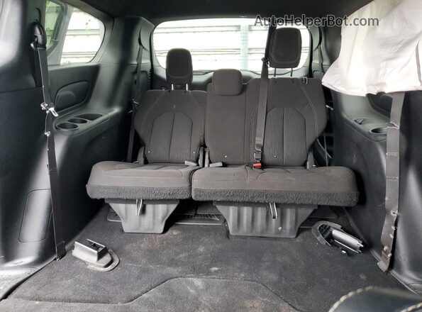2C4RC1FG0LR269716 2020 CHRYSLER PACIFICA Серебряный Вид задних сидений