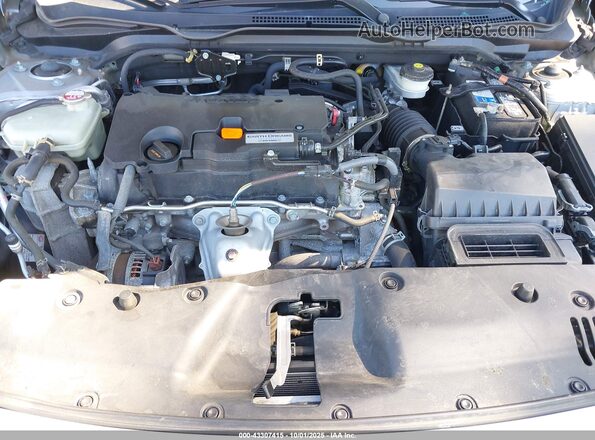 2HGFC2F60LH523626 2020 HONDA CIVIC Gray Հետևի տեսք