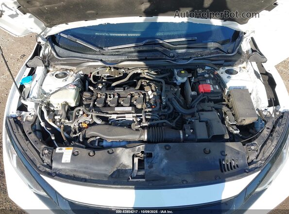 2HGFC3B34LH351702 2020 HONDA CIVIC White Widok z tyłu