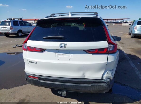 2HKRS3H49RH320444 2024 HONDA CR-V White 