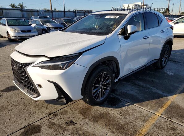 2T2ADCAZ0RC007200 2024 LEXUS NX 250 BAS White Հետևի ձախ