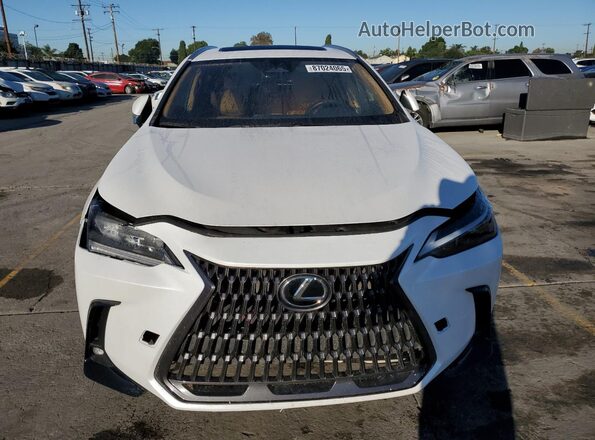 2T2ADCAZ0RC007200 2024 LEXUS NX 250 BAS White Հետևի տեսք