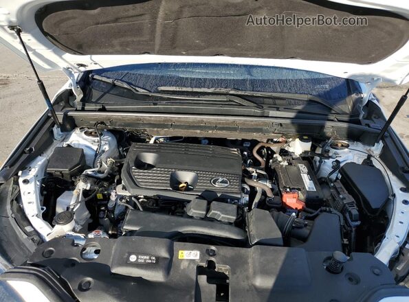 2T2ADCAZ0RC007200 2024 LEXUS NX 250 BAS White VIN կոդի պիտակի տեսք